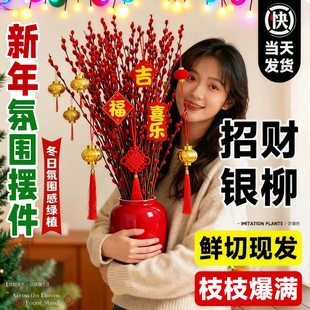 2026银柳真花鲜枝批发干花客厅摆件红色年宵花卉新年氛围装饰水培