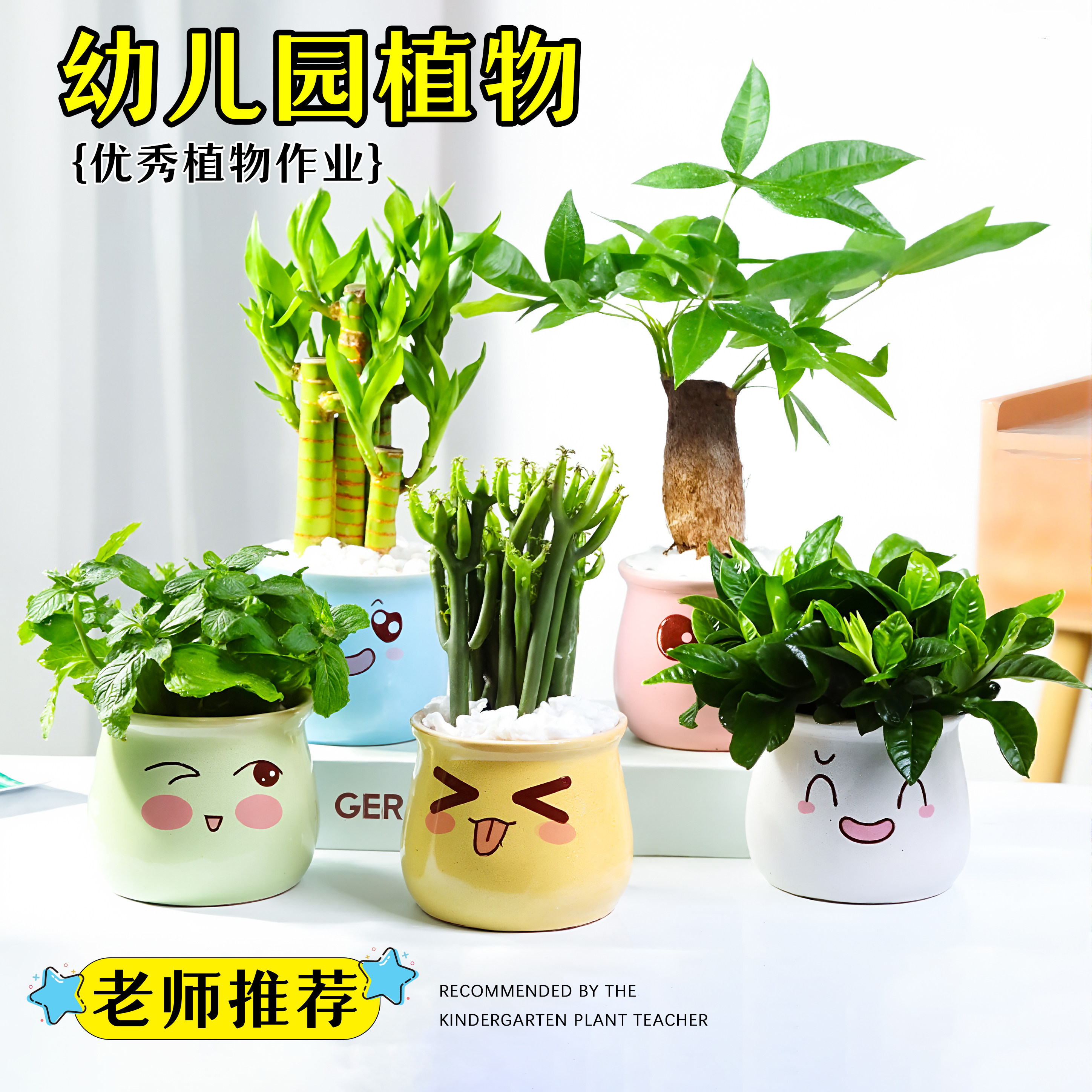 开学季幼儿园小朋友养的植物图片
