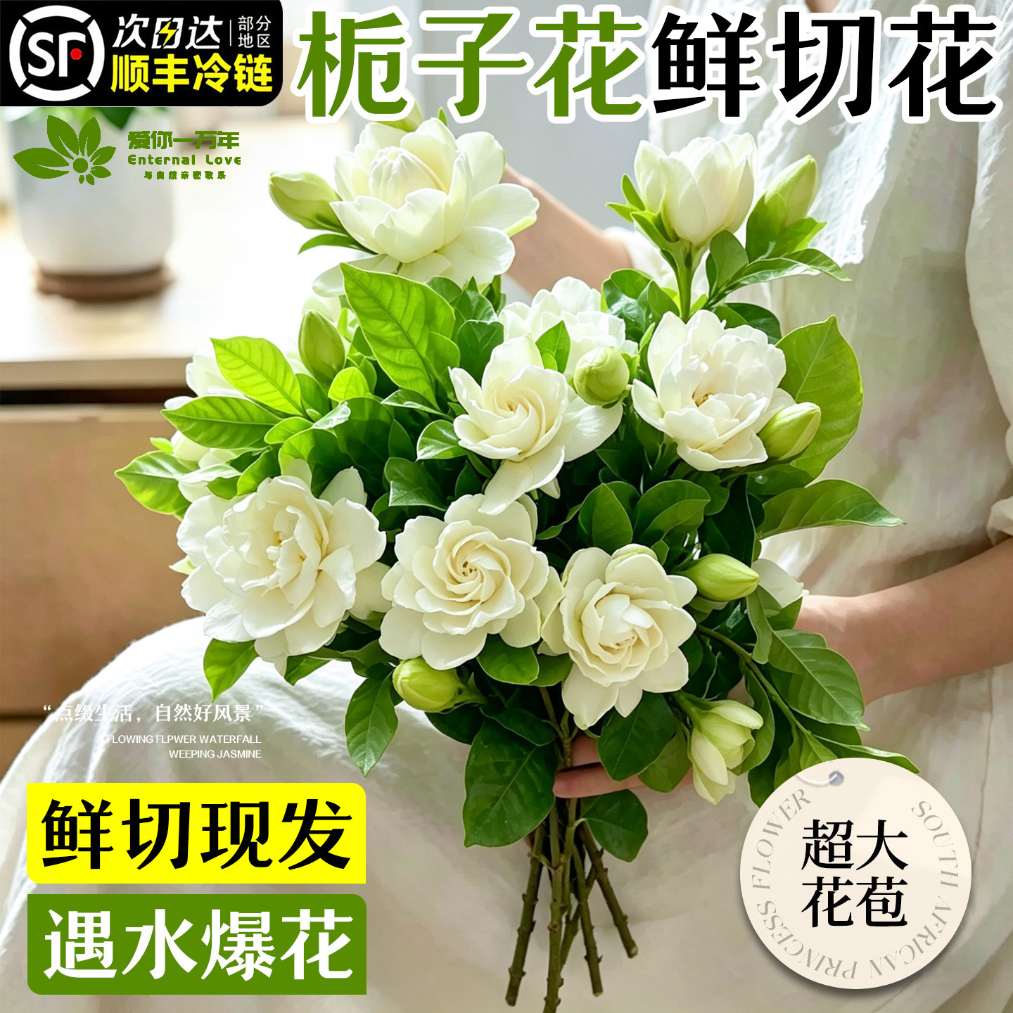 栀子花鲜花束水培植物室内茉莉芍药玫瑰插花云南基地直发花卉盆栽