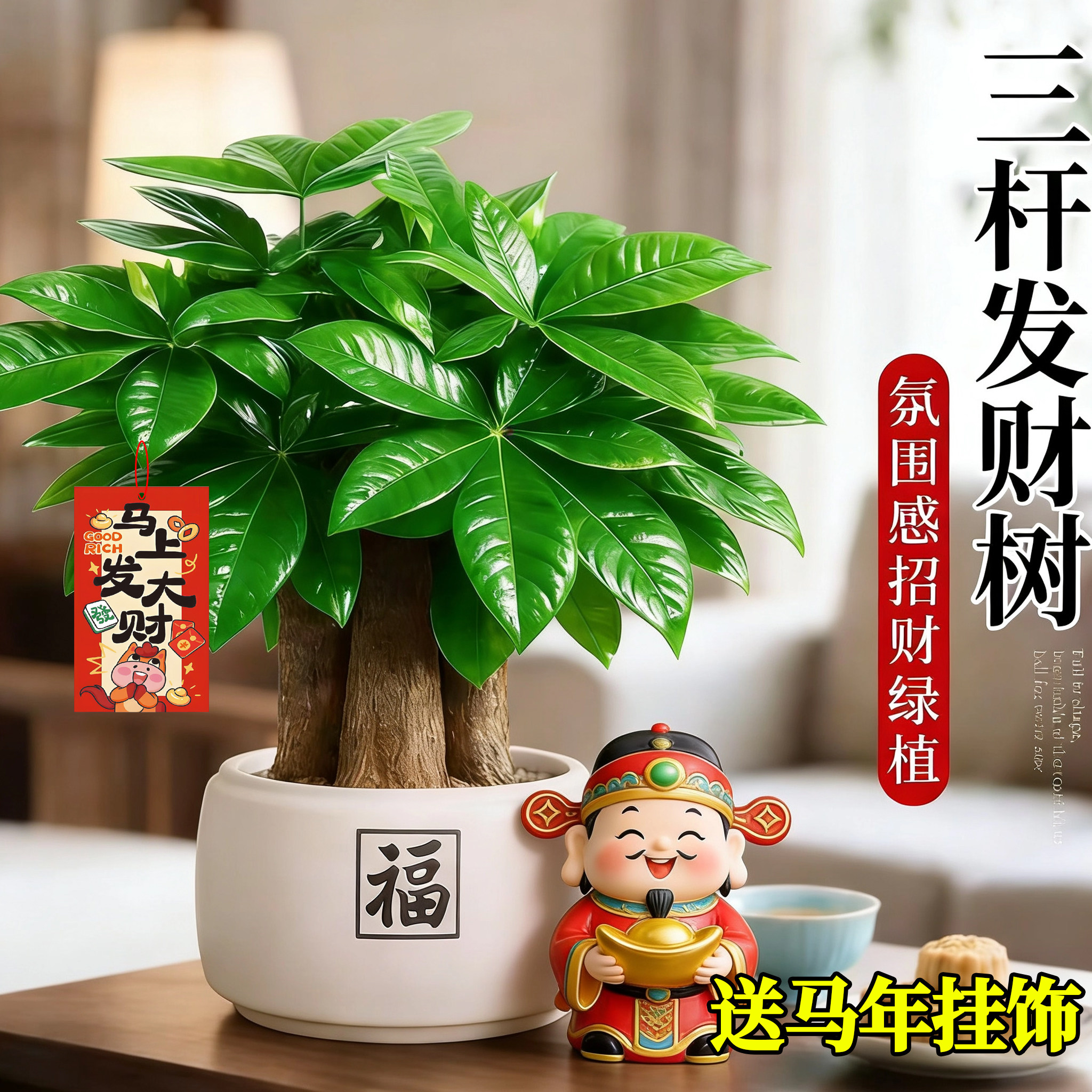 发财树小盆栽客厅招财旺宅真树玄关盆景办公室内桌面绿植物四季大,鲜花速递/花卉仿真/绿植园艺,绿植,淘宝优惠券,粉丝福利购,淘宝优惠卷