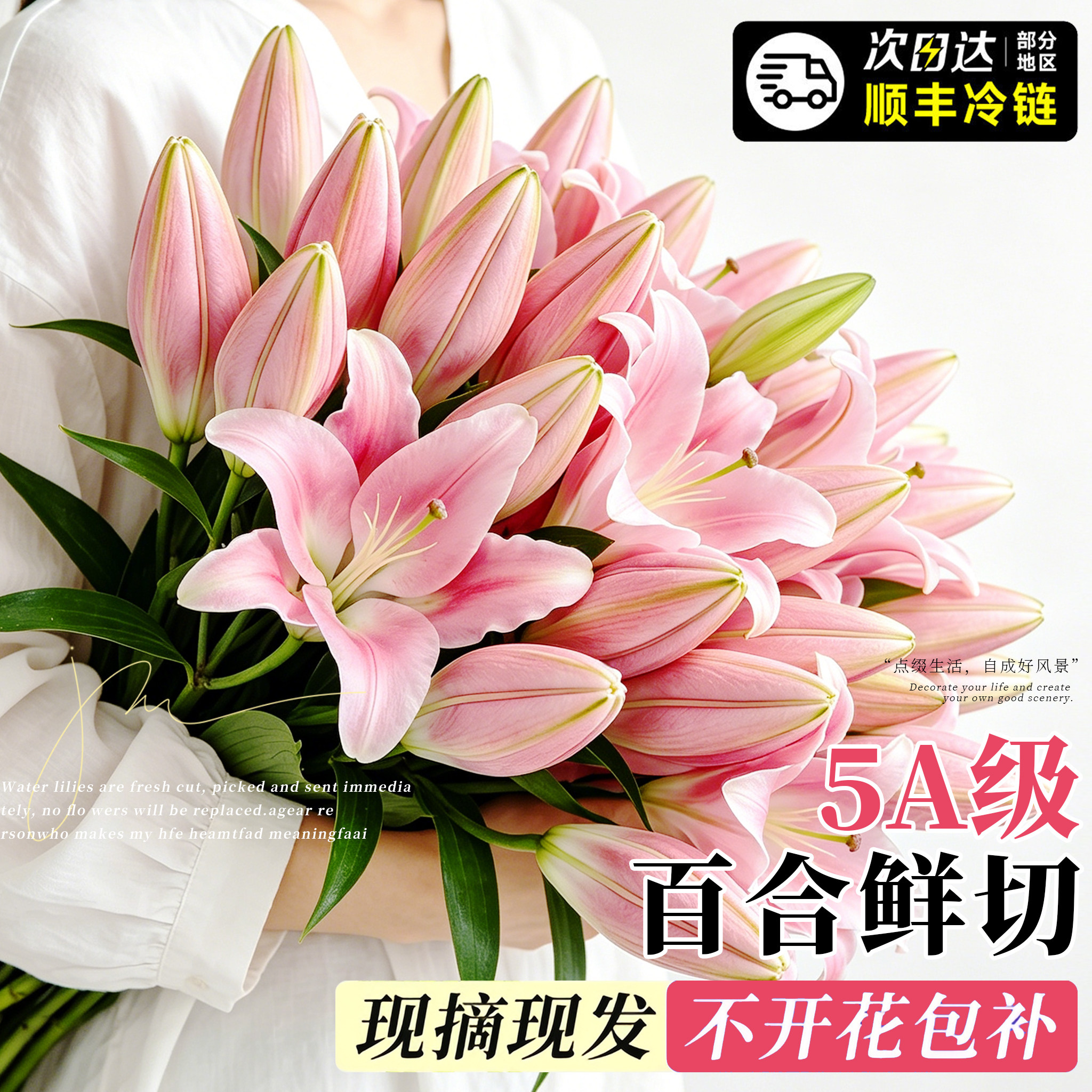 【顺丰次日达】新鲜香水百合鲜花图片