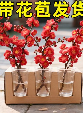 红梅干枝水培雪柳鲜枝带花苞鲜花卉植物室内水养桃花支腊梅年宵花