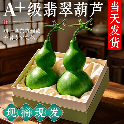 翡翠葫芦摆件天然新鲜观赏