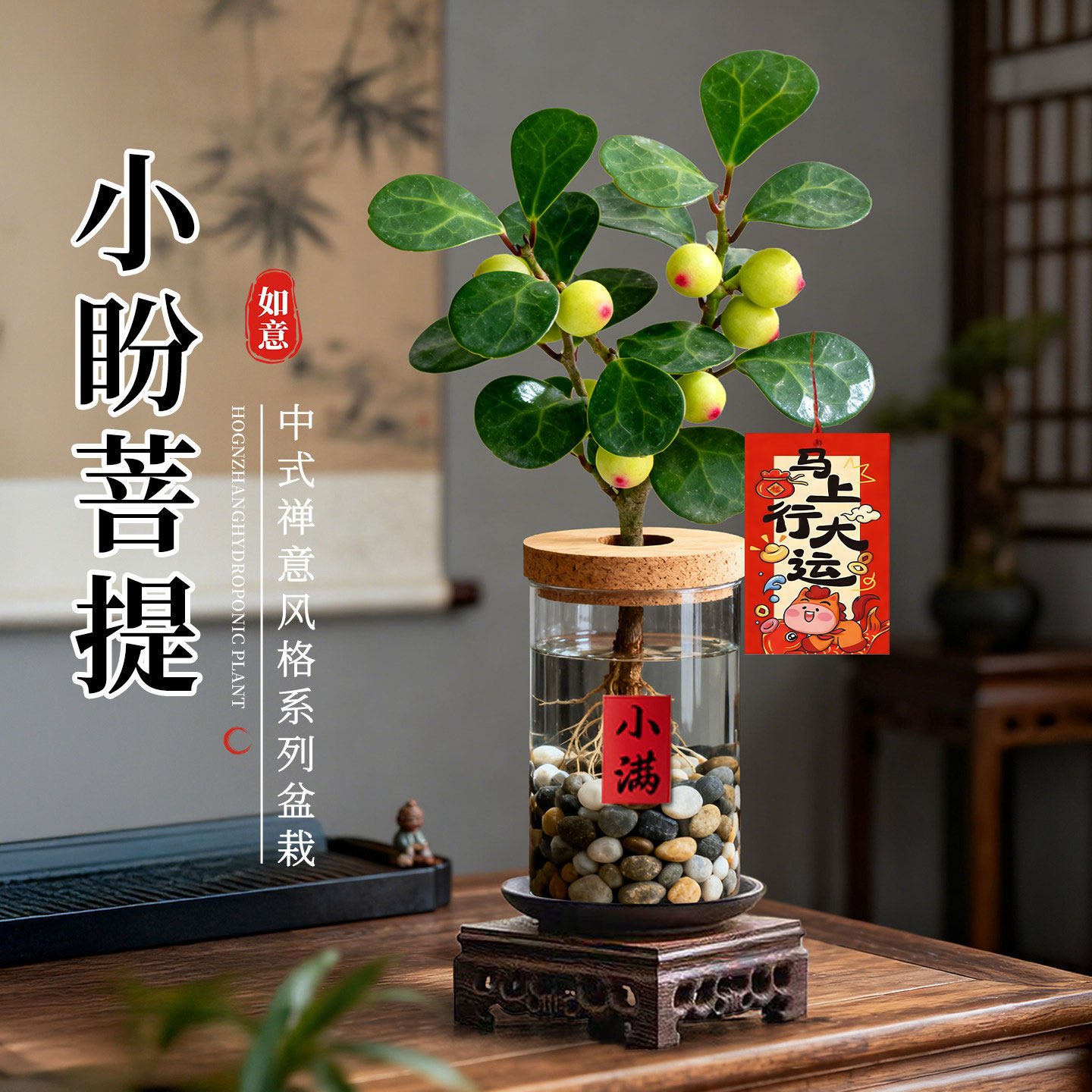 小盼菩提盆栽水培植物室内好养禅意绿植桌面植物中式盆景四季好养