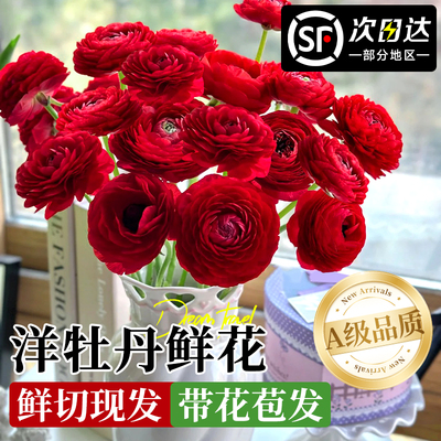 【顺丰次日达】洋牡丹鲜花云南发