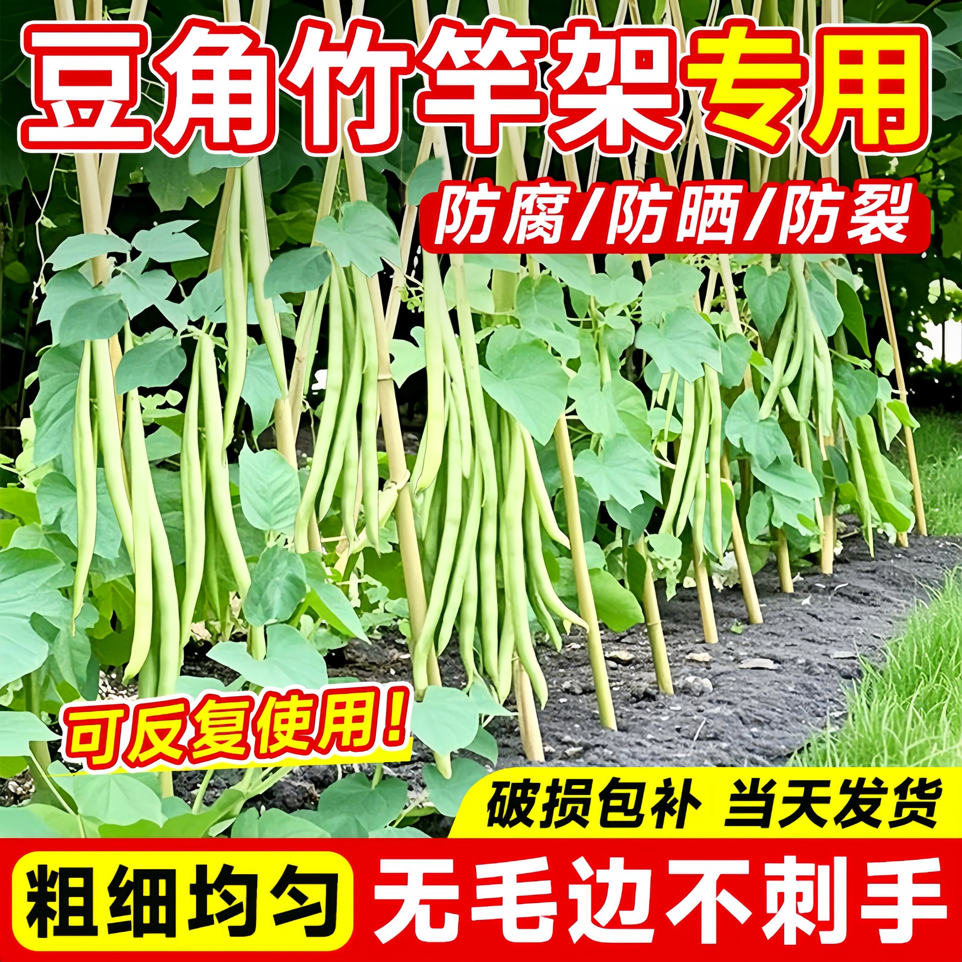 豆角架杆竹竿菜园搭架黄瓜番茄爬藤架葡萄架小竹子细竹竿篱笆栅栏