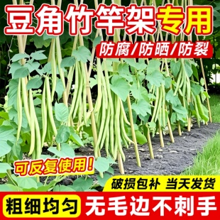 豆角架杆竹竿菜园搭架黄瓜番茄爬藤架葡萄架小竹子细竹竿篱笆栅栏