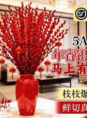 2026银柳真花鲜枝批发干花客厅摆件红色年宵花卉新年氛围装饰水培