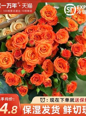 橙色芭比多头泡泡玫瑰鲜花云南基地直发鲜切花教师节花束家用插花