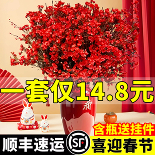 澳洲腊梅鲜花水培鲜枝干枝真花年宵花卉室内过年花冬季银柳鲜切花