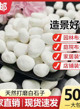 50斤装白色石子石头大鹅卵石庭院铺路铺地小白石头造景景观白石子