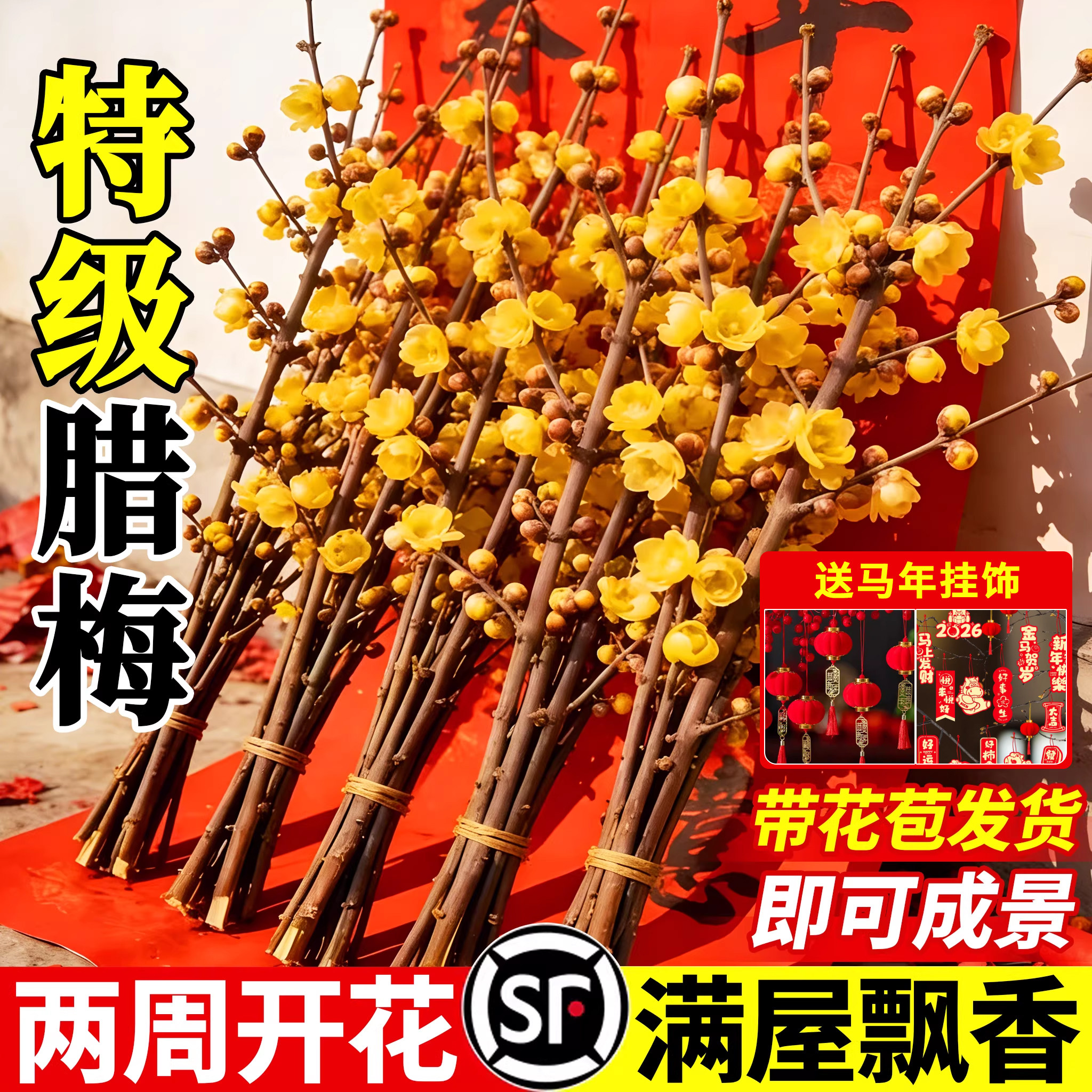 水培植物腊梅花鲜花家用插花基地直发鲜切花客厅花卉花束干枝绿植