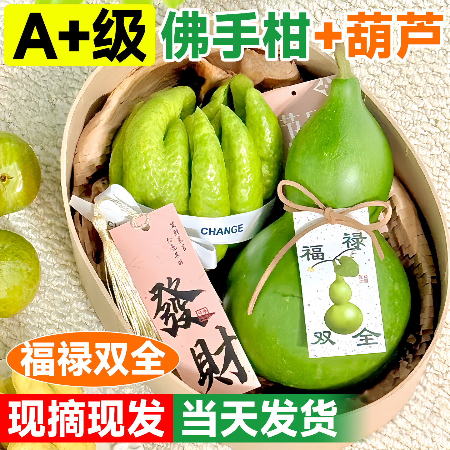 佛手柑鲜果水培植物桌面摆件葫芦香橼闻香观赏云南新鲜办公室绿植