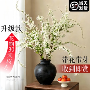 雪柳鲜枝带花苞干支纯水培植物室内好养花卉绿植盆栽桌面水养龙柳