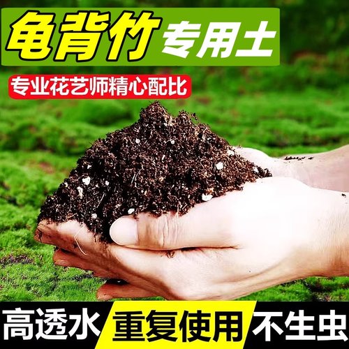 【100%龟背竹基地土】送龟背竹肥