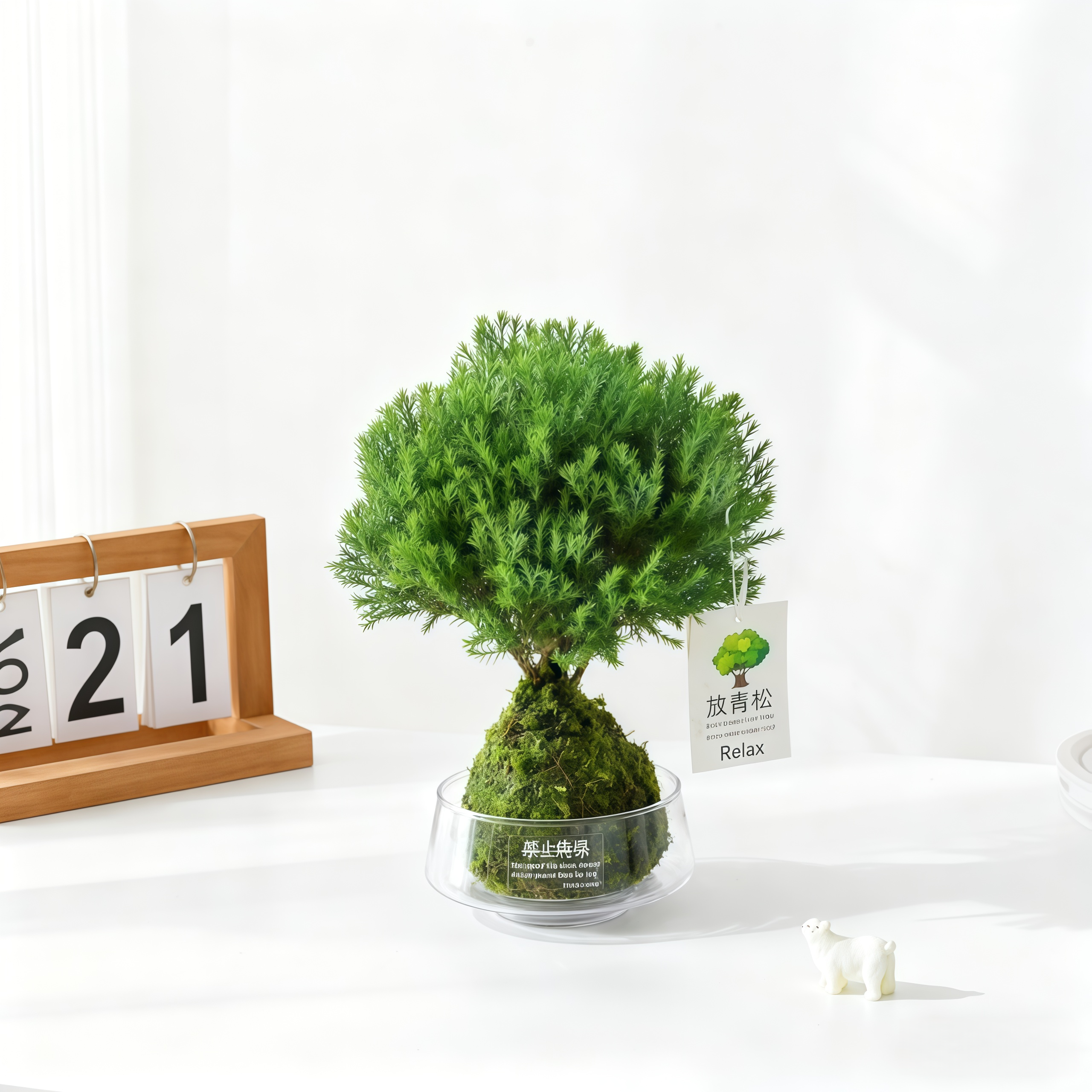 【放轻松】雾凇苔藓球盆栽室内客厅办公桌面工位创意植物好养绿植