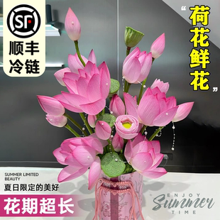 荷花鲜花花束莲蓬鲜花同城速递鲜切顺丰云南基地直发家用插花真花