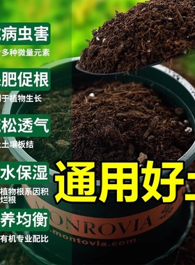 营养土养花专用通用型种菜盆栽土壤种植土种花蓝莓君子兰花专用土