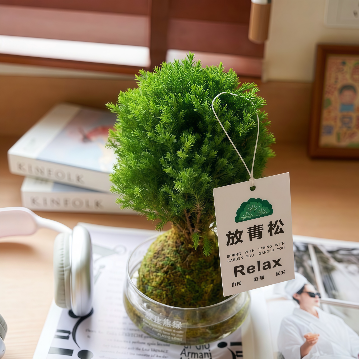 【类目TOP】室内好养水培植物图片