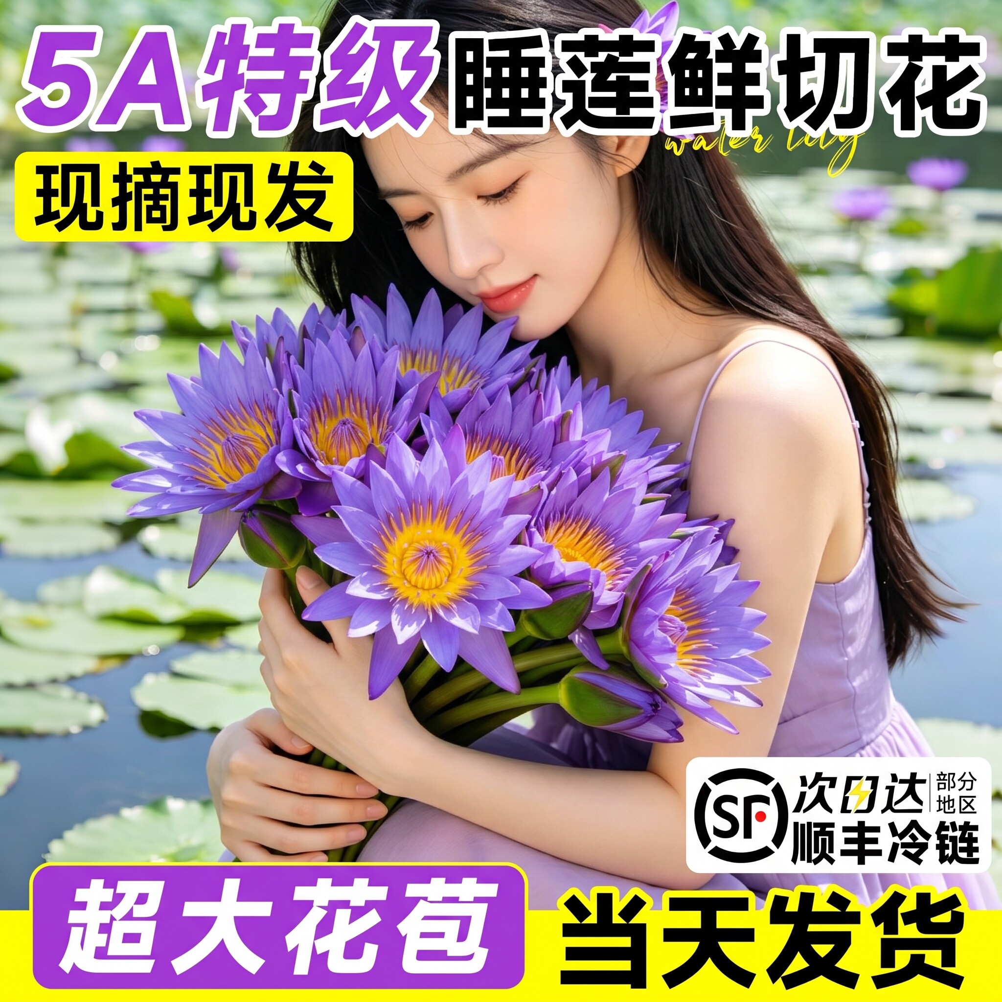 【夏季爆款】紫色睡莲鲜花带花苞