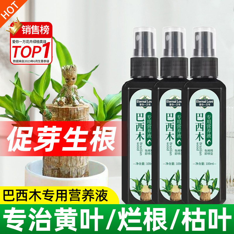 水培巴西木营养液免稀释专用的营养液幸运木开花八西木专用营养液,鲜花速递/花卉仿真/绿植园艺,家庭园艺肥料,淘宝优惠券,粉丝福利购,淘宝优惠卷