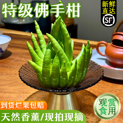 【青皮佛手瓜】精选鲜果现摘现发