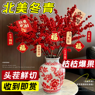 北美冬青红果鲜花切枝鲜切花水培水养绿植室内年宵花卉真花好养活