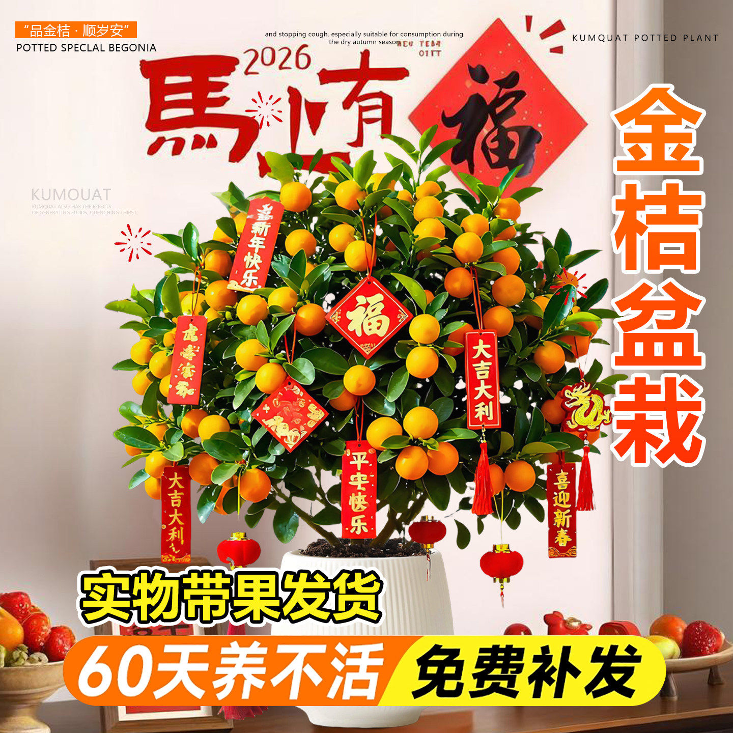 金桔树苗盆栽带果客厅年桔可食用脆皮桔四季室内旺宅新年绿植好养,鲜花速递/花卉仿真/绿植园艺,大型绿植/成品组合盆栽,淘宝优惠券,粉丝福利购,淘宝优惠卷