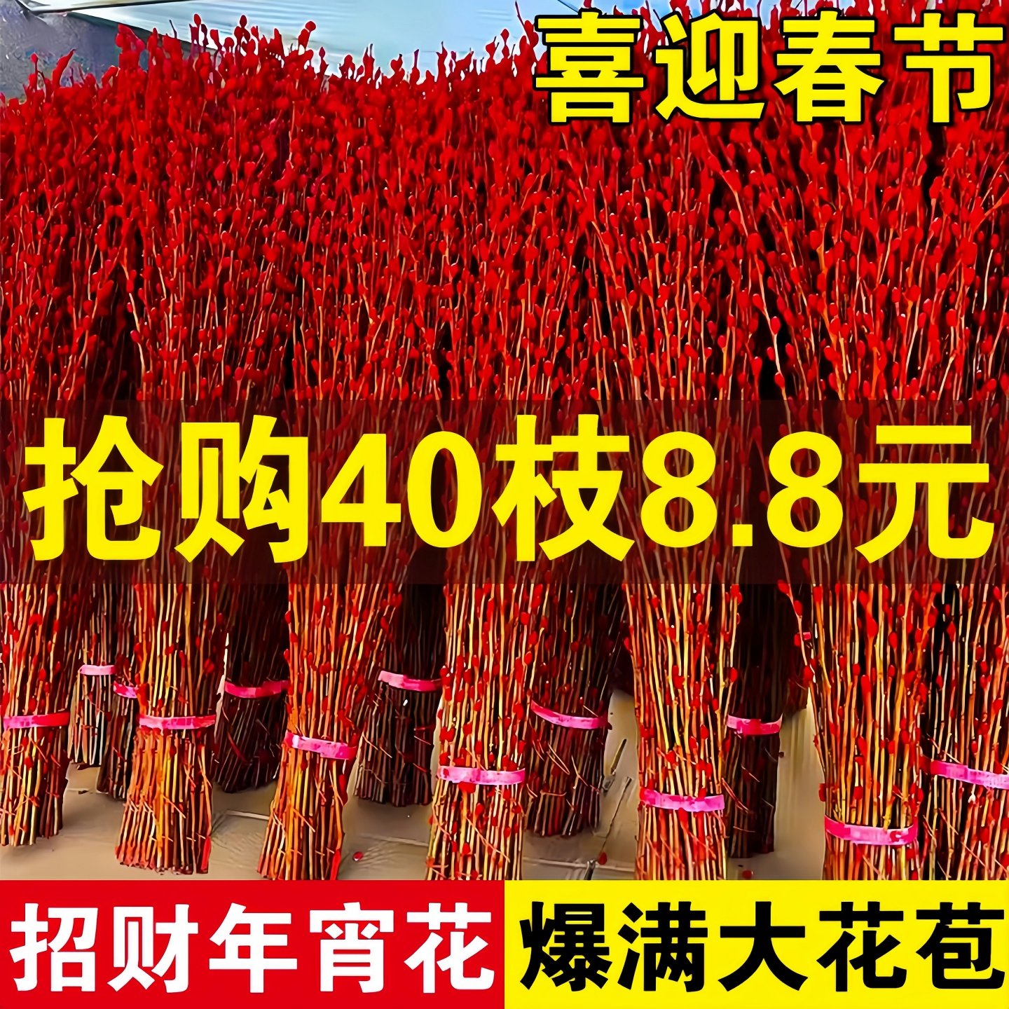 银柳真花鲜枝干摆件室内水