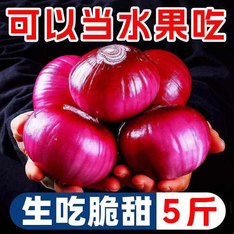 糖尿人吃的零食品水果生吃紫皮洋葱孕妇中老年解馋饱腹糖友旗舰店