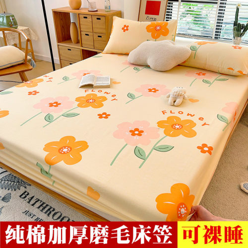大众床笠单件纯棉磨毛合格品