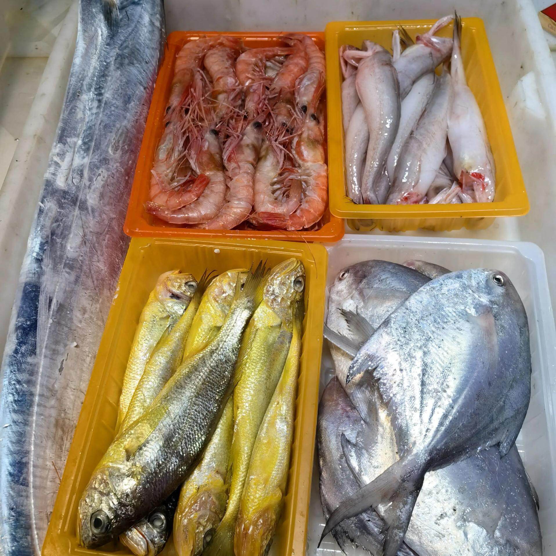 台州松门东海小网海鲜家庭小套餐带鱼黄鱼鲳鱼龙头鱼虾水潺顺丰
