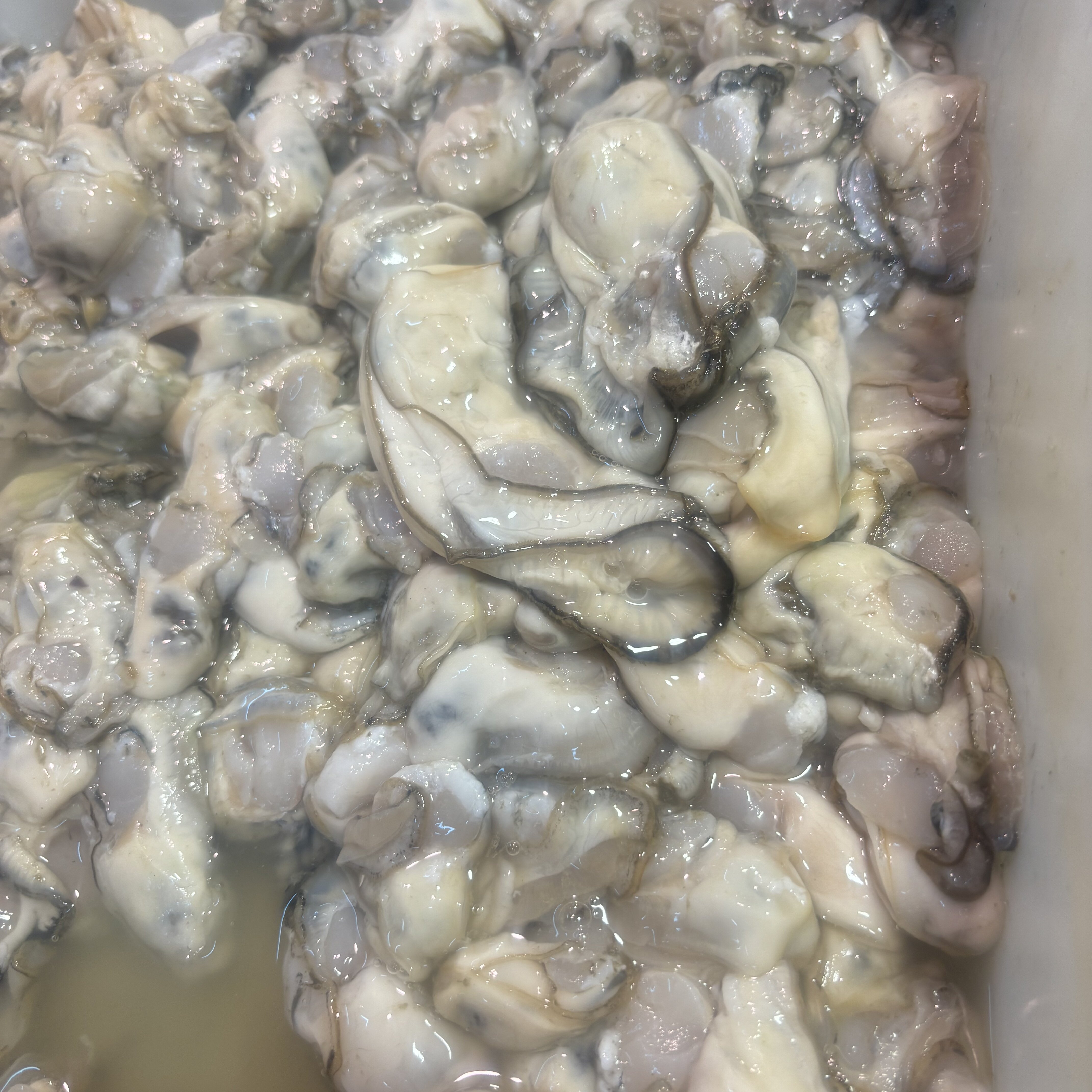 温岭特产牡蛎肉新鲜海鲜水产品贝类小生蚝