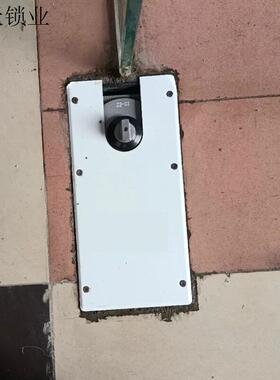 无框门H220B玻璃门有框门通用型大门地簧弹簧商铺缓冲地818重型