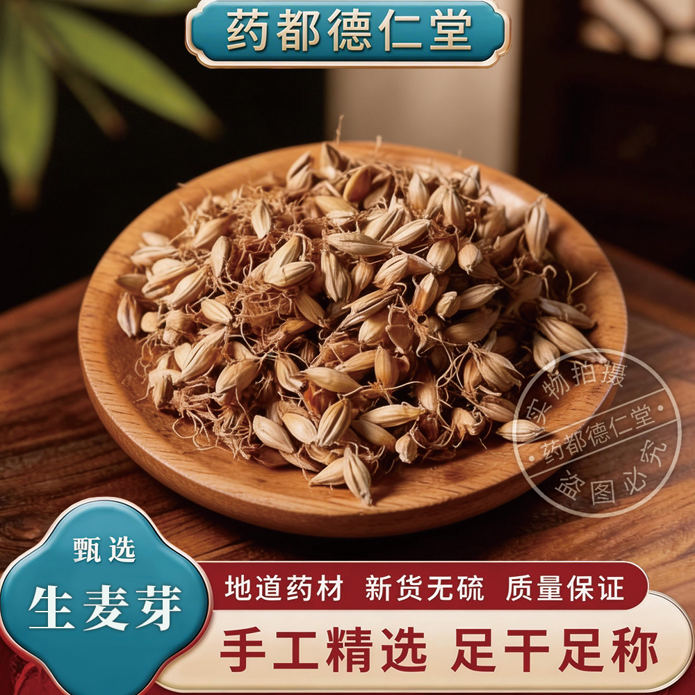 特级生麦芽 三生芽 500g包天然 大麦芽 中药材无硫 麦薬 大麦薬