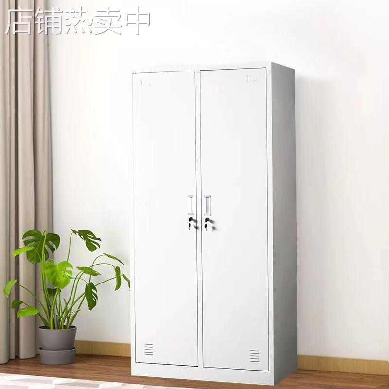 更衣柜宿舍换衣柜员工带锁储物二门更衣柜车间多门二门衣柜