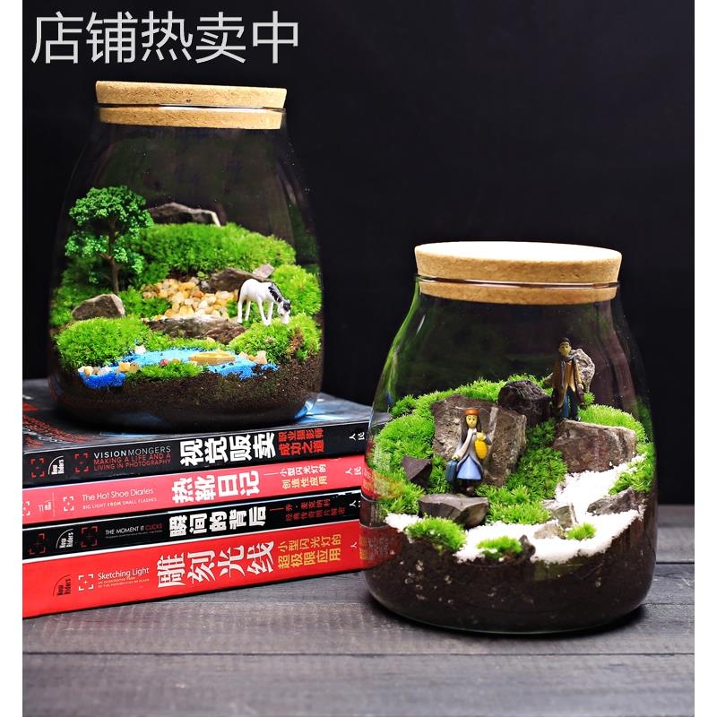 大号水滴苔藓植物盆栽微景观生态瓶 室内桌面趣味微型创意DIY绿植