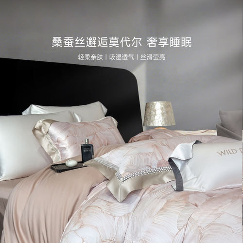 2025新款可水机柔梦蚕丝四件套