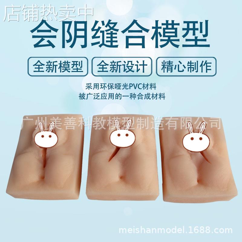 外阴缝合练习模型 会阴缝合练习模块 妇产科缝合技能训练模型