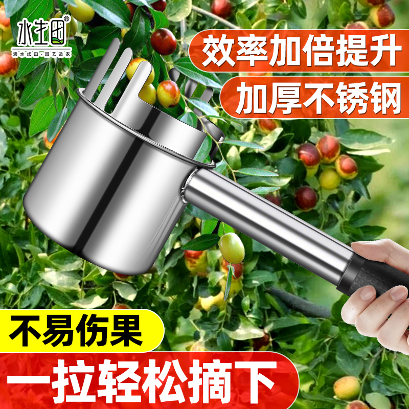 水生田摘酸枣神器专用工具