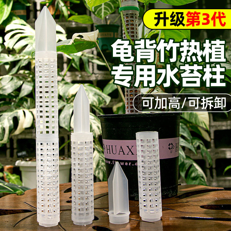 水生田水苔柱热植专用攀爬柱图片