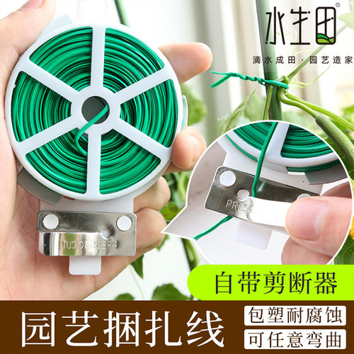 园艺铁丝爬藤植物月季