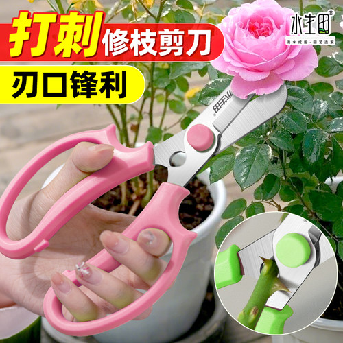 花艺剪刀修枝鲜花打刺园艺剪花剪