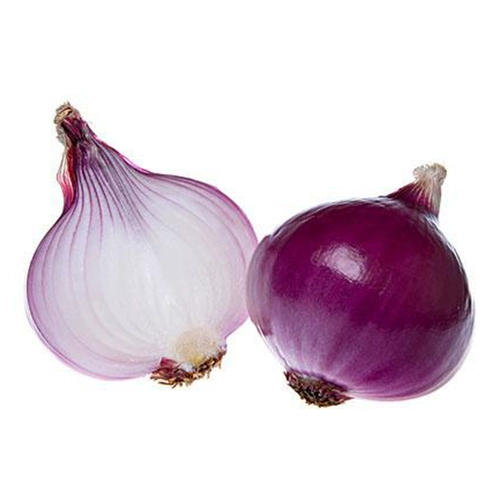 Семя семян лука, красная кожа с рапсом зеленого лука, желтая кожа, высокий балконный горшечный фермерский дом Бесплатная доставка.