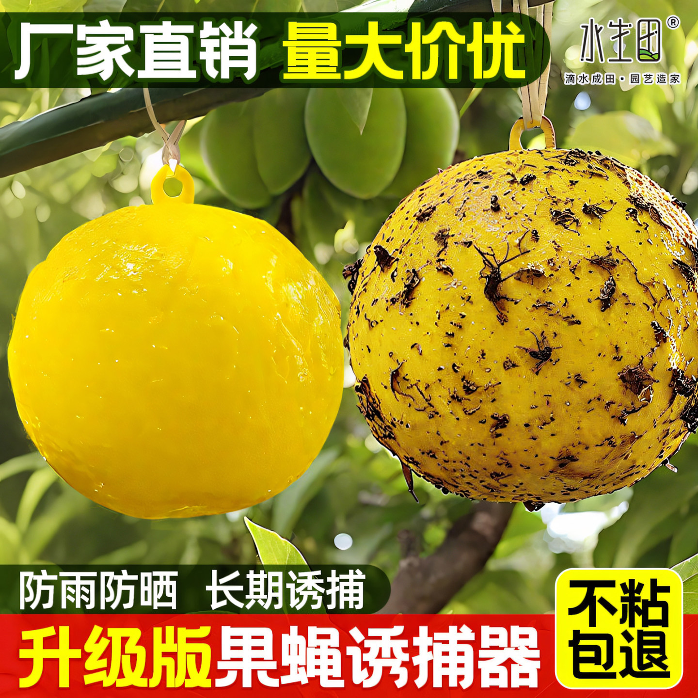 强力粘虫球菜园果树蔬菜小飞虫室内厨房家用黄色果蝇诱捕器诱蝇球