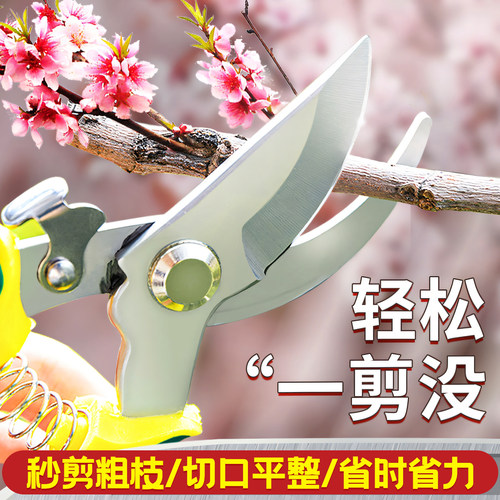园艺剪刀修枝剪花家用
