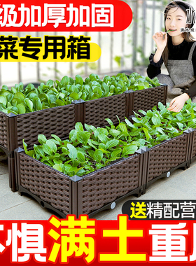 种菜神器家庭阳台长方形塑料特大家用蔬菜专用种植箱花盆楼顶花箱