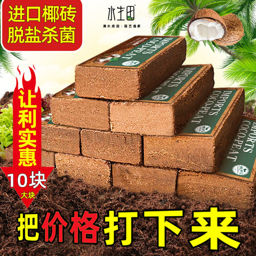 阳台脱盐种植通用型营养土