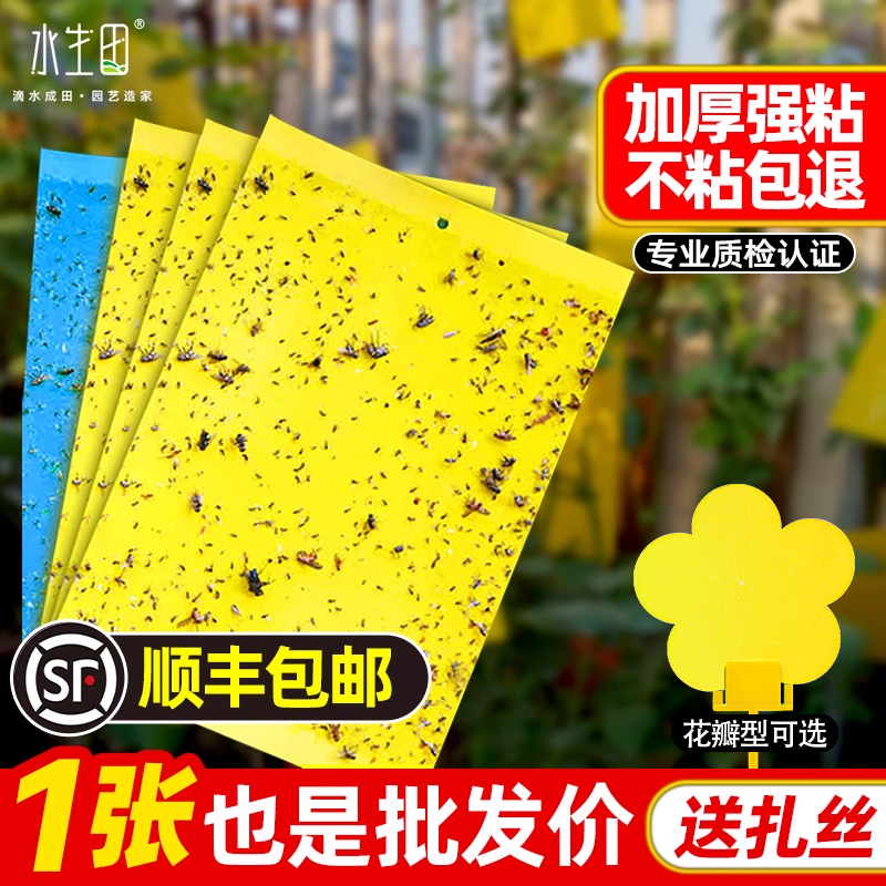 物理粘虫双面粘板强劲粘力