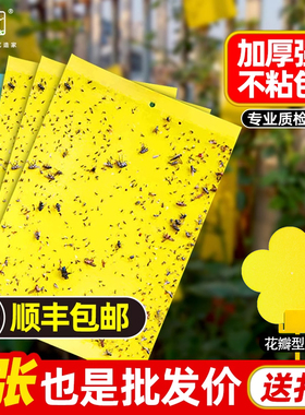 粘虫板家用黄板蓝板双面诱虫粘飞虫阳台小黑飞大棚果园果蝇诱捕器